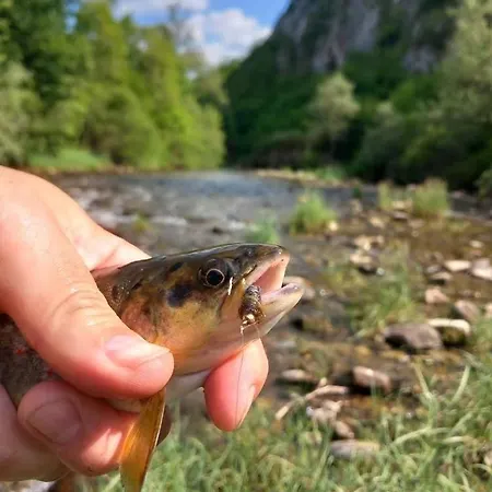 Vikendica Kuca Lula Stara Planina *